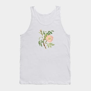 Dog Rose Flower Botanical Illustration Tank Top